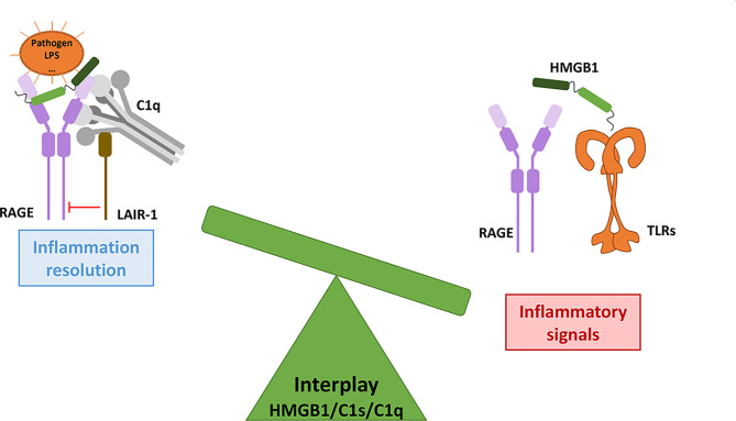 Figure 6