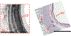 Fig. 8.