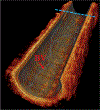Fig. 6.