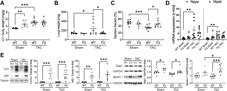 Figure 7