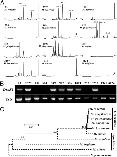 Fig. 5.