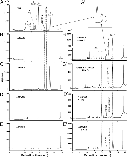 Fig. 3.