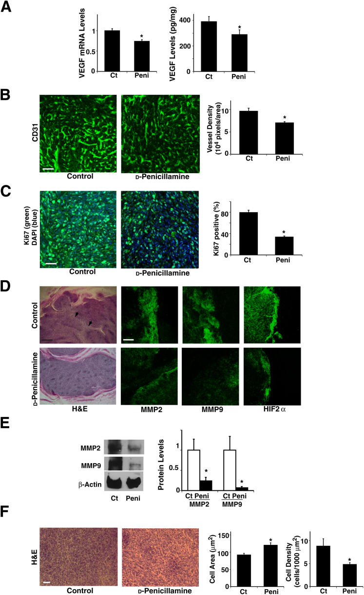 Figure 6