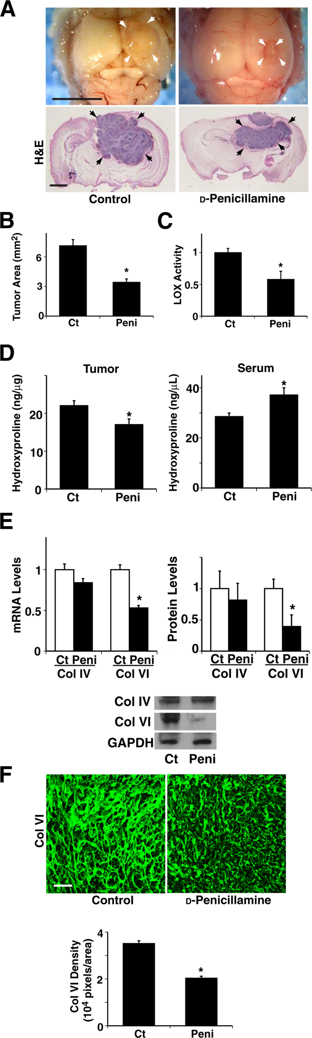 Figure 5