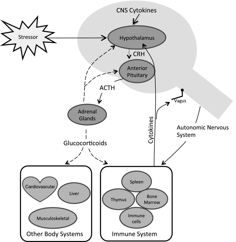 FIGURE 1