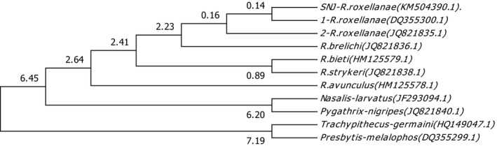 Figure 3