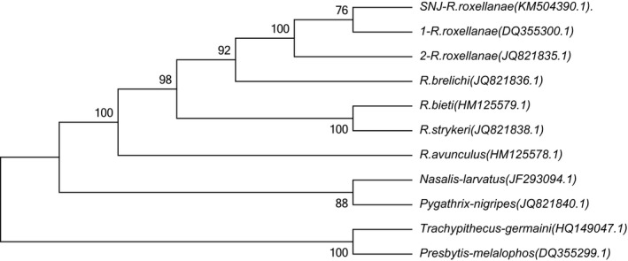 Figure 2