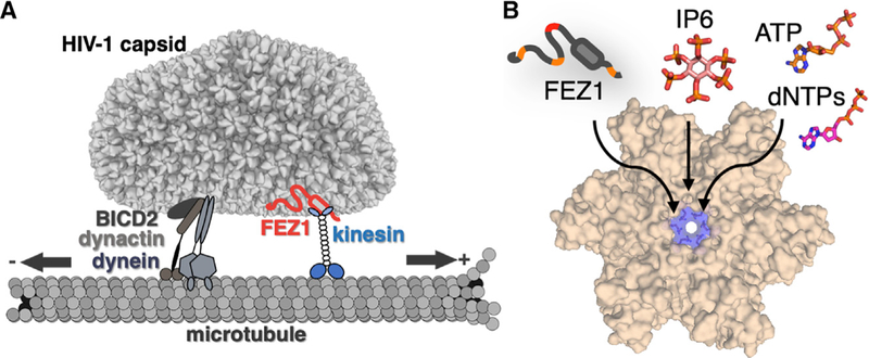 Figure 7.