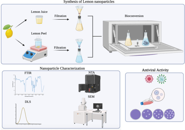 Image, graphical abstract