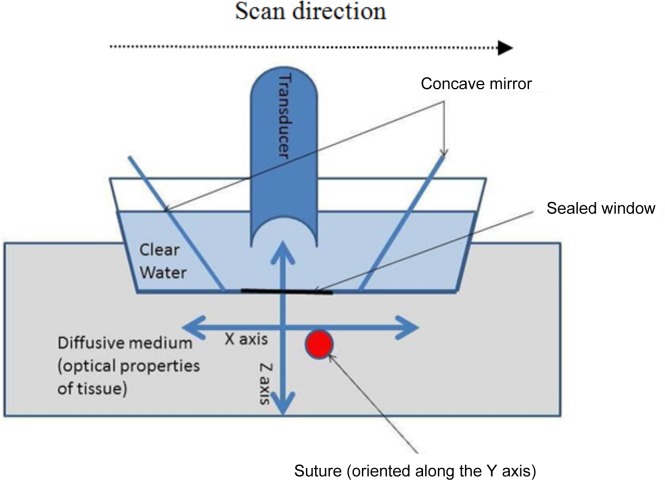 Fig. 1