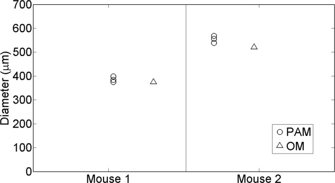 Fig. 11