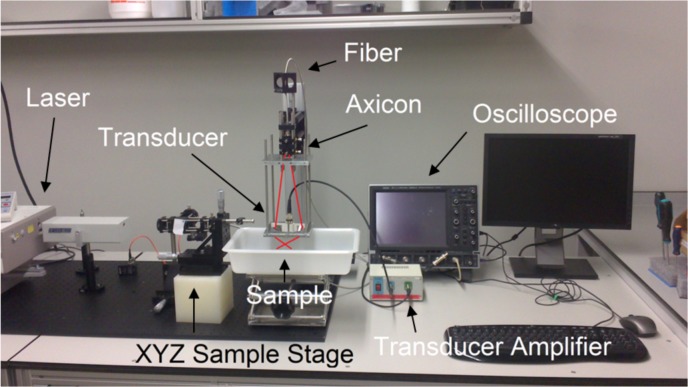 Fig. 2