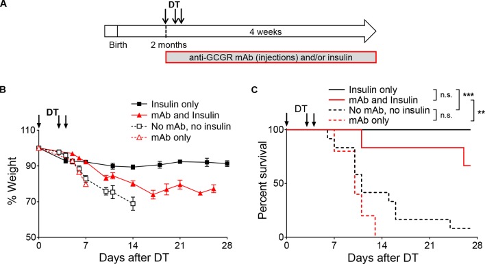 Figure 2—figure supplement 2.