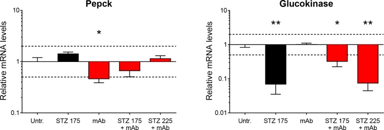 Figure 5—figure supplement 1.