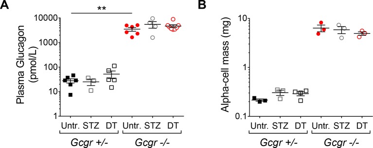 Figure 3—figure supplement 1.