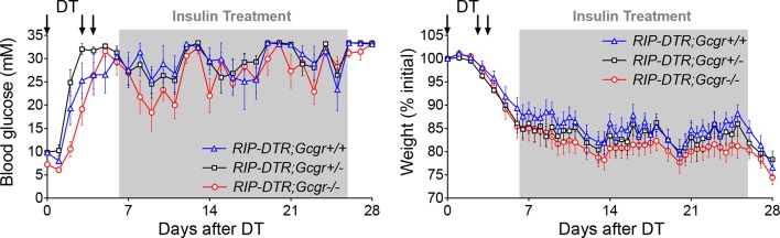 Figure 1—figure supplement 1.