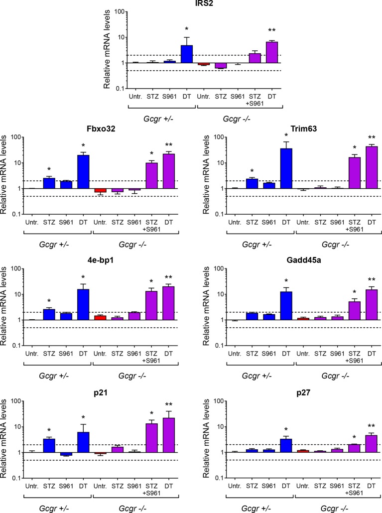 Figure 4—figure supplement 3.