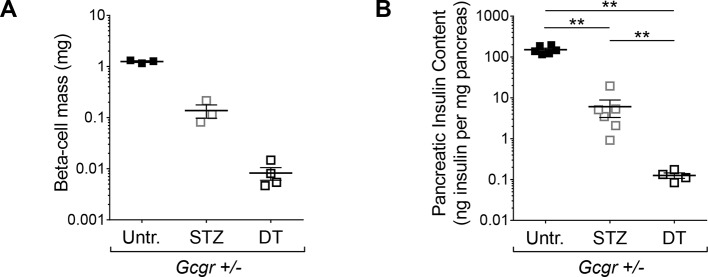 Figure 3—figure supplement 2.