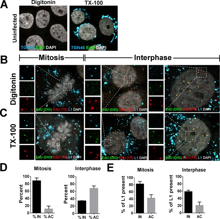 FIG 6