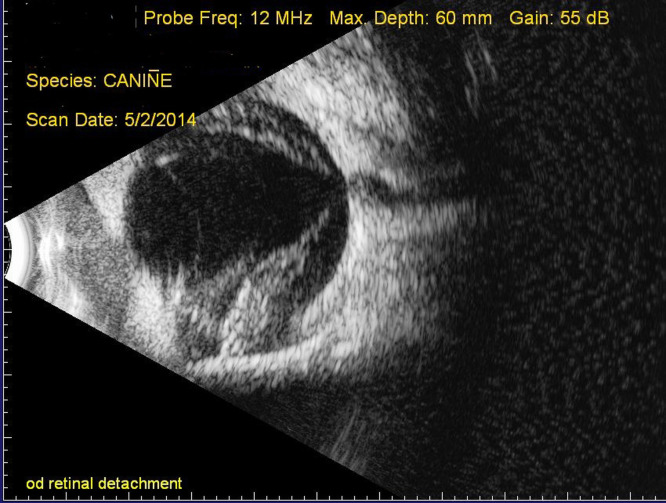 Fig. 12