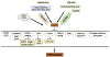 Fig. 3.