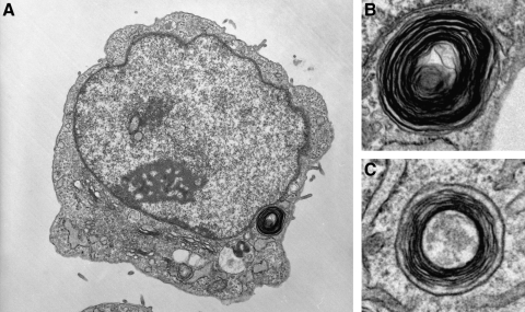 FIG. 9.