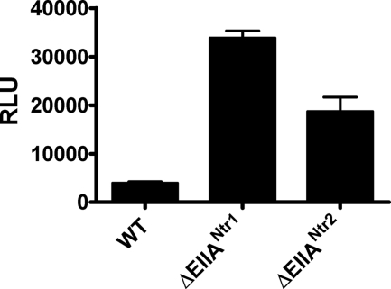 FIG. 13.