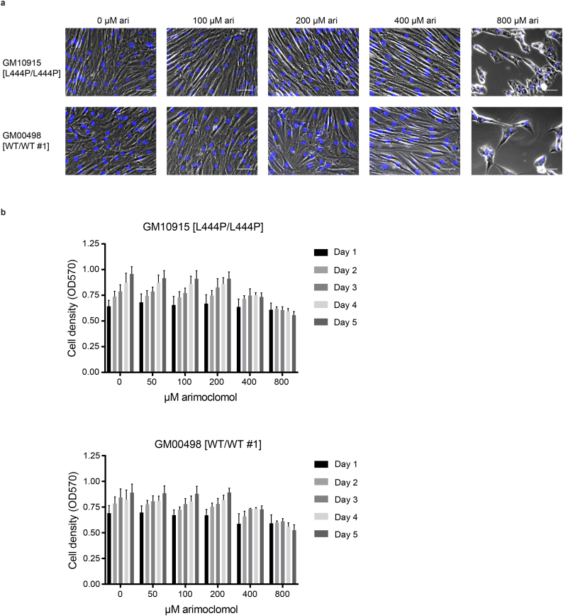 Supplementary Fig. 2