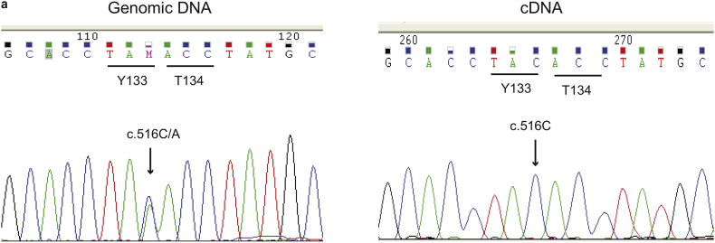 Supplementary Fig. 4