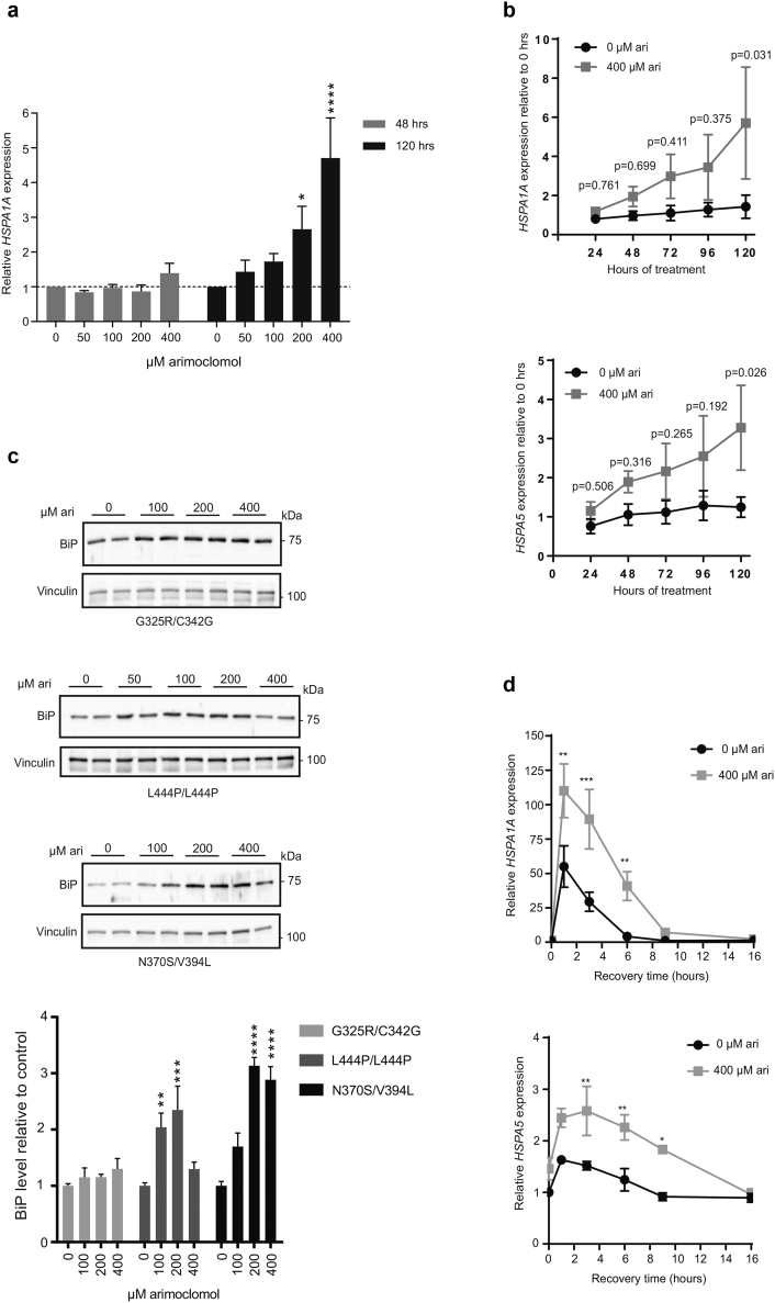 Supplementary Fig. 1