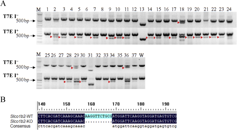 Figure 1