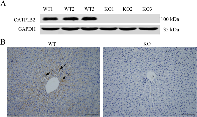 Figure 3