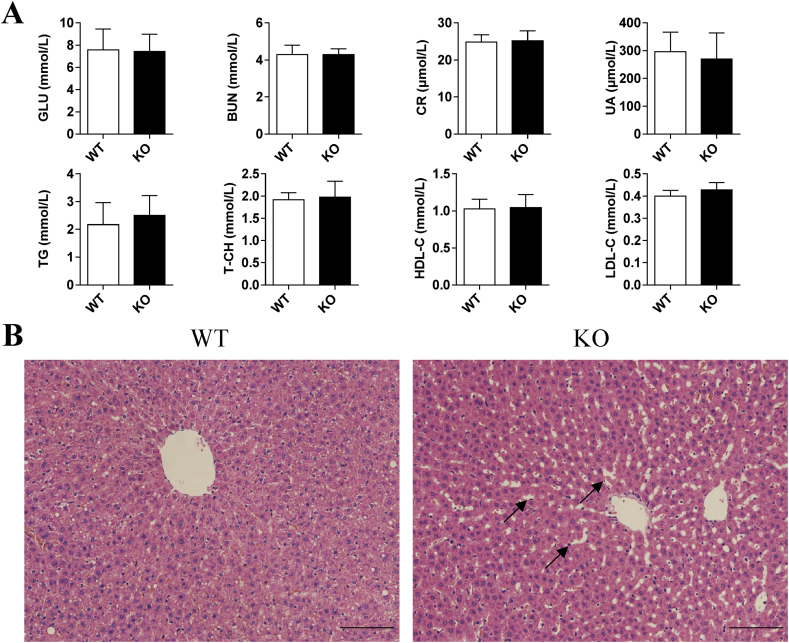 Figure 5