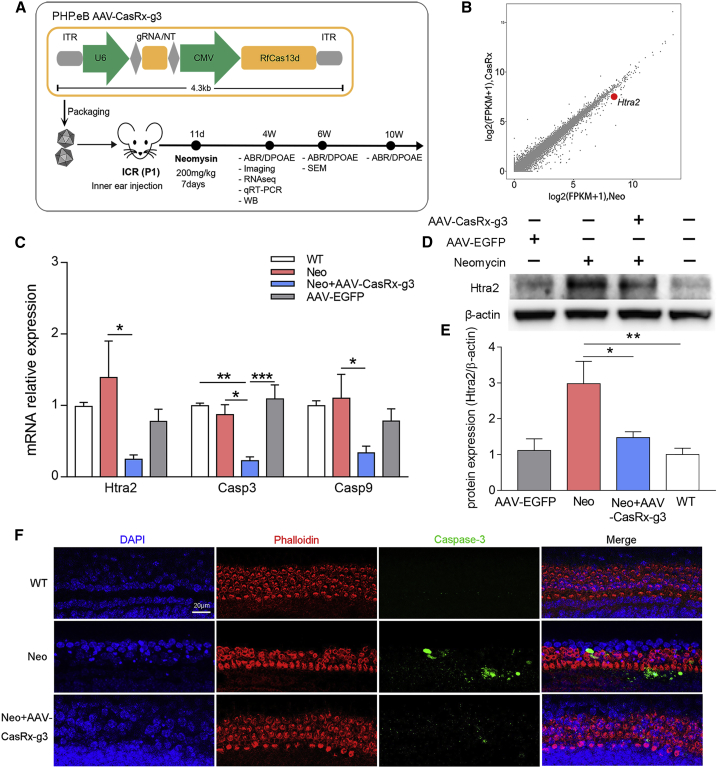 Figure 2