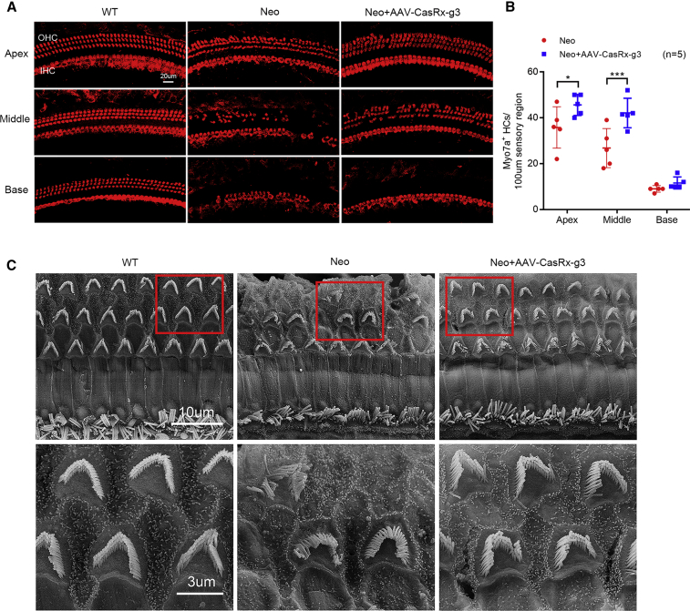 Figure 4