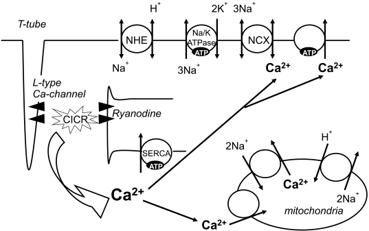 Fig. (2).