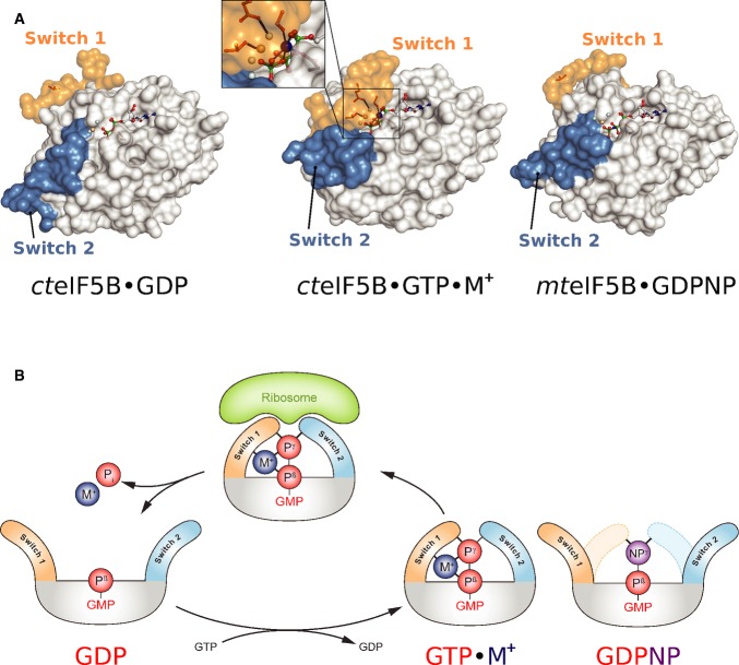 Figure 5