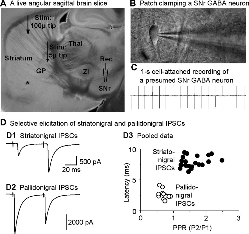 Fig. 2.