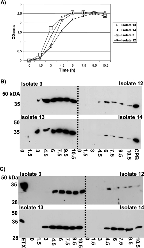 FIG. 1.