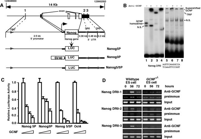 FIG. 6.