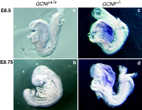 FIG. 7.