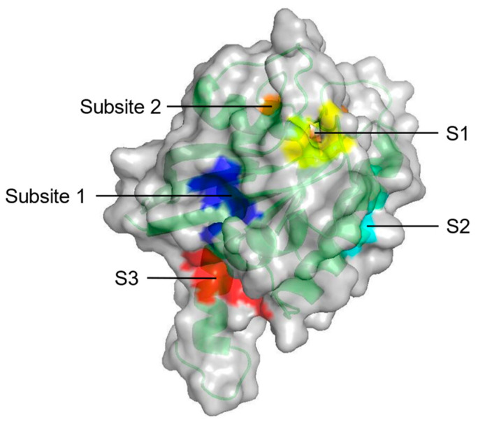 Figure 3