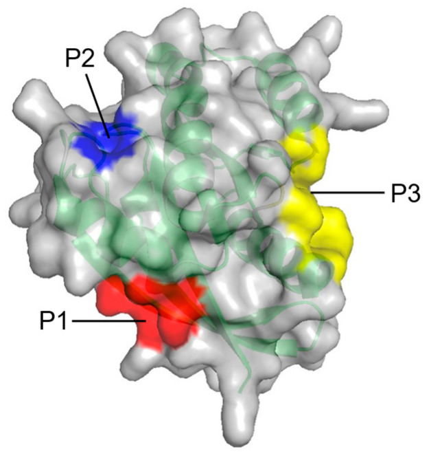 Figure 4