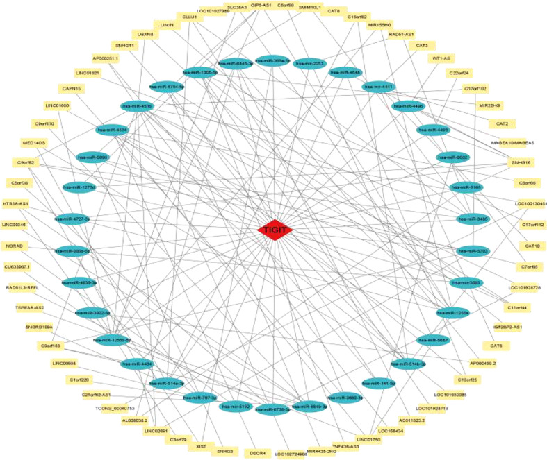 Figure 14