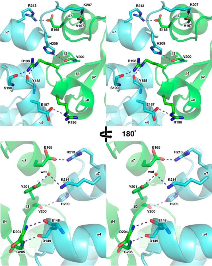 FIGURE 7.