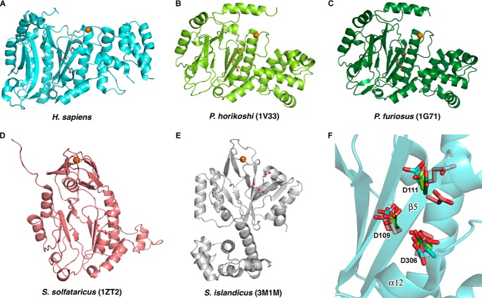 FIGURE 4.