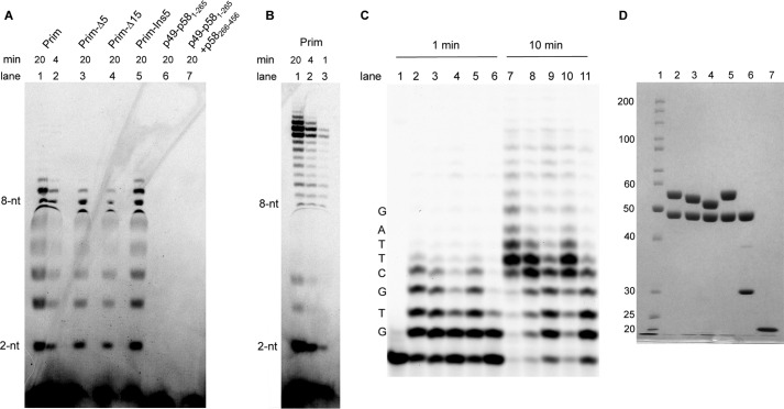 FIGURE 9.