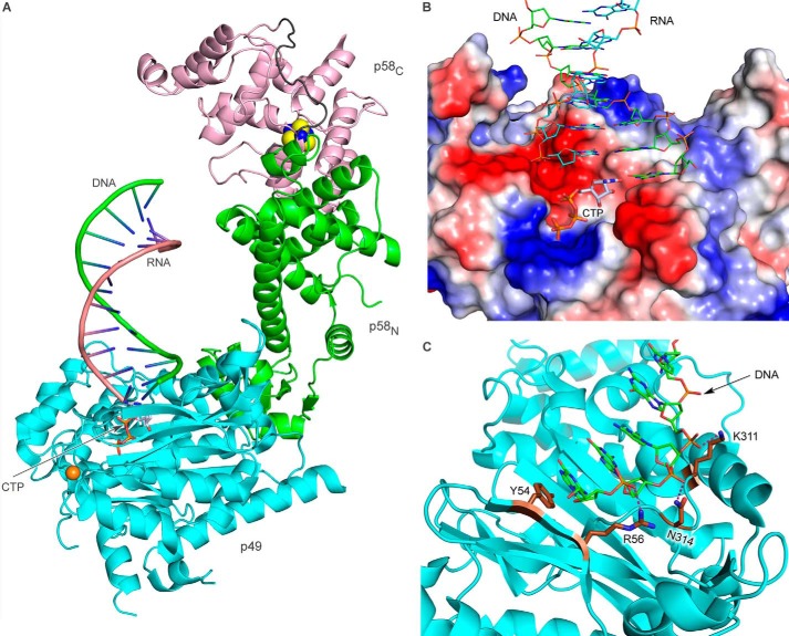 FIGURE 10.