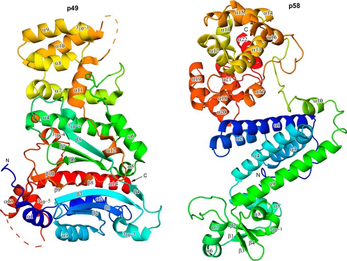 FIGURE 2.