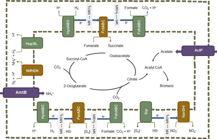 FIGURE 2